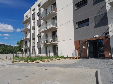 Zdjęcie z galerii