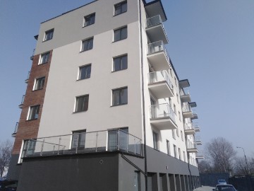 Zdjęcie z galerii